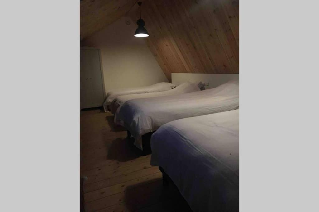Ruim Appartement In Prachtige Fiets-Wandelomgeving Abcoude Εξωτερικό φωτογραφία
